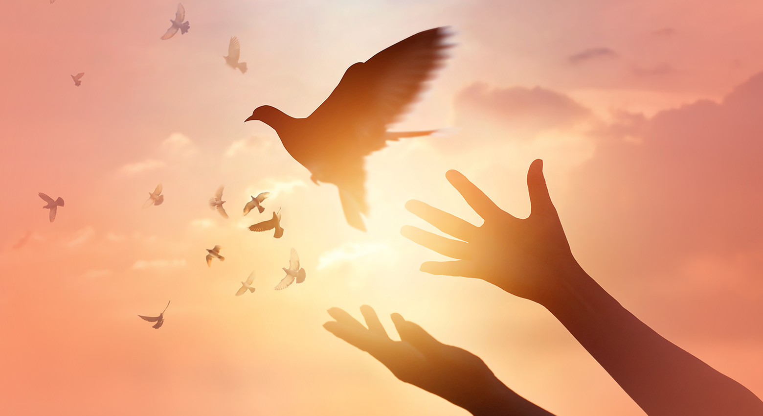peace